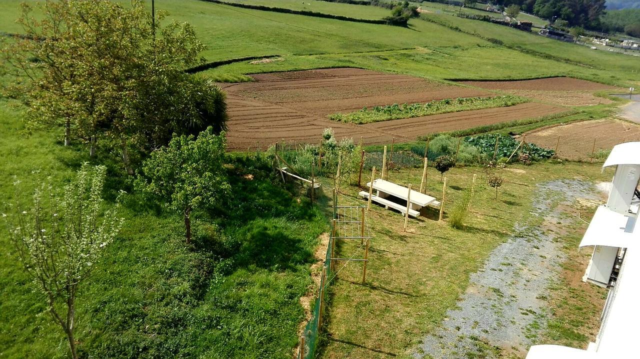 Albergue Montoto Melide Exteriér fotografie